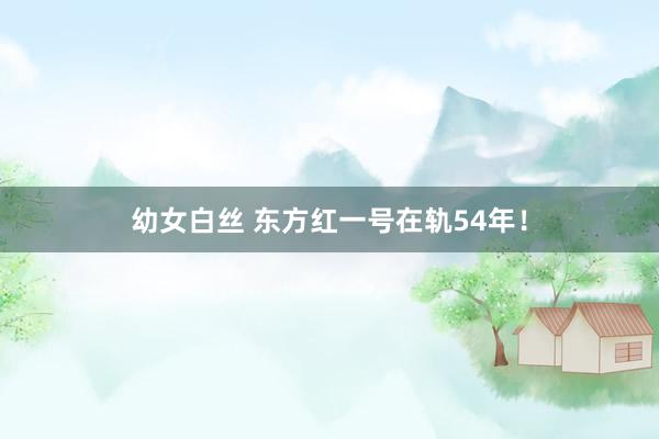 幼女白丝 东方红一号在轨54年！