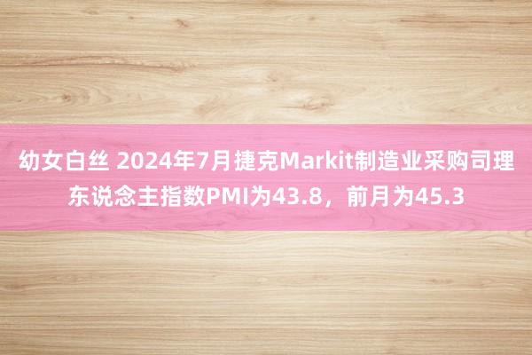 幼女白丝 2024年7月捷克Markit制造业采购司理东说念主指数PMI为43.8，前月为45.3