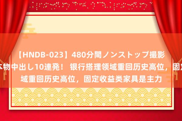 【HNDB-023】480分間ノンストップ撮影 ノーカット編集で本物中出し10連発！ 银行搭理领域重回历史高位，固定收益类家具是主力