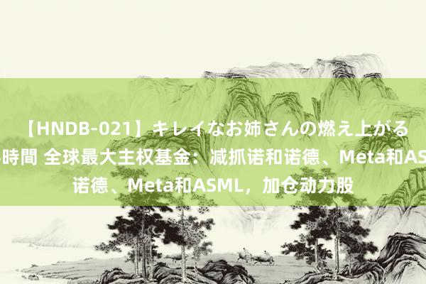 【HNDB-021】キレイなお姉さんの燃え上がる本物中出し交尾4時間 全球最大主权基金：减抓诺和诺德、Meta和ASML，加仓动力股