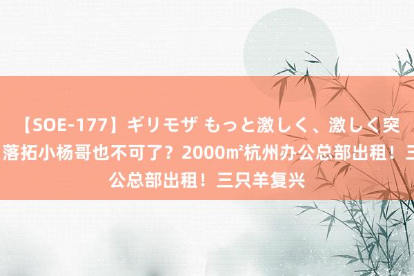 【SOE-177】ギリモザ もっと激しく、激しく突いて Ami 落拓小杨哥也不可了？2000㎡杭州办公总部出租！三只羊复兴