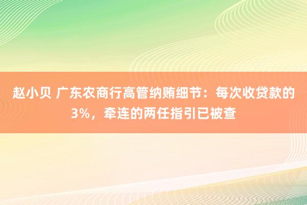 赵小贝 广东农商行高管纳贿细节：每次收贷款的3%，牵连的两任指引已被查