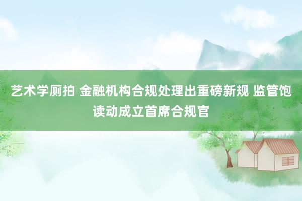 艺术学厕拍 金融机构合规处理出重磅新规 监管饱读动成立首席合规官