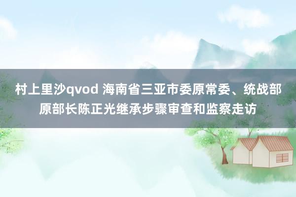 村上里沙qvod 海南省三亚市委原常委、统战部原部长陈正光继承步骤审查和监察走访