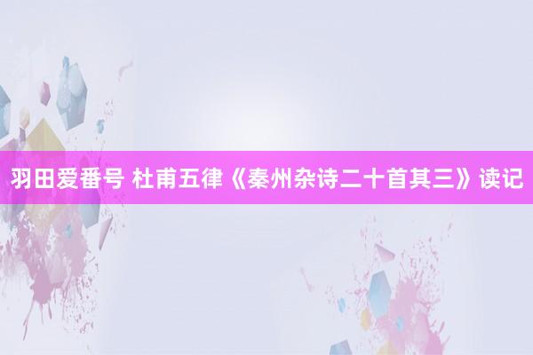 羽田爱番号 杜甫五律《秦州杂诗二十首其三》读记