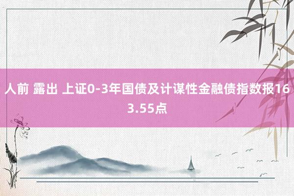 人前 露出 上证0-3年国债及计谋性金融债指数报163.55点