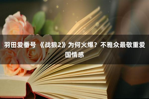 羽田爱番号 《战狼2》为何火爆？不雅众最敬重爱国情感