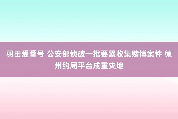 羽田爱番号 公安部侦破一批要紧收集赌博案件 德州约局平台成重灾地