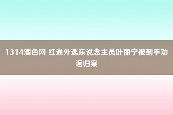 1314酒色网 红通外逃东说念主员叶丽宁被到手劝返归案